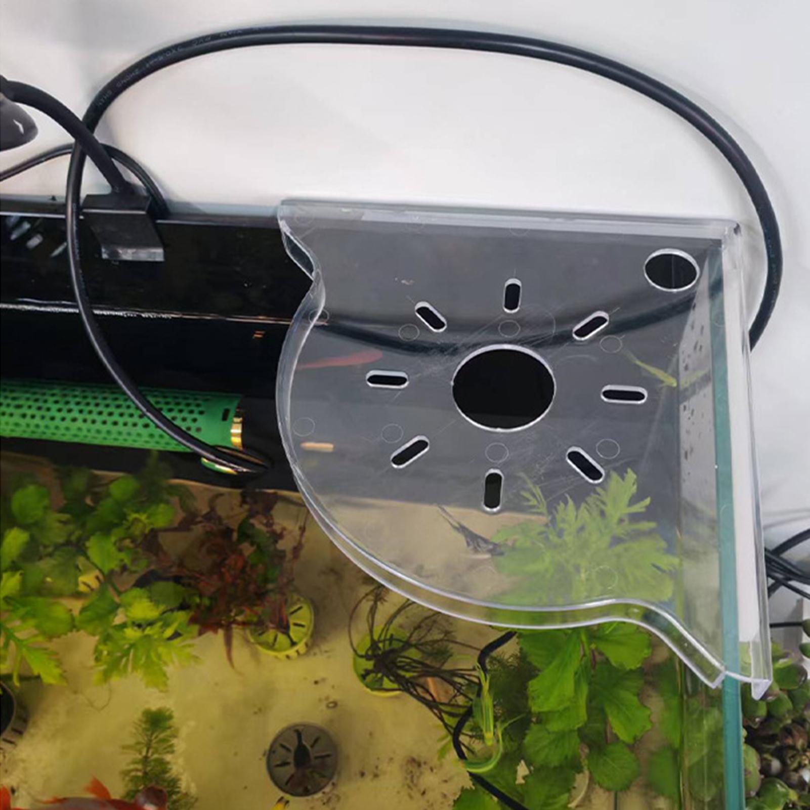 Aquarium Plants Live - Triangle Fish Tank Corner Storage Rack