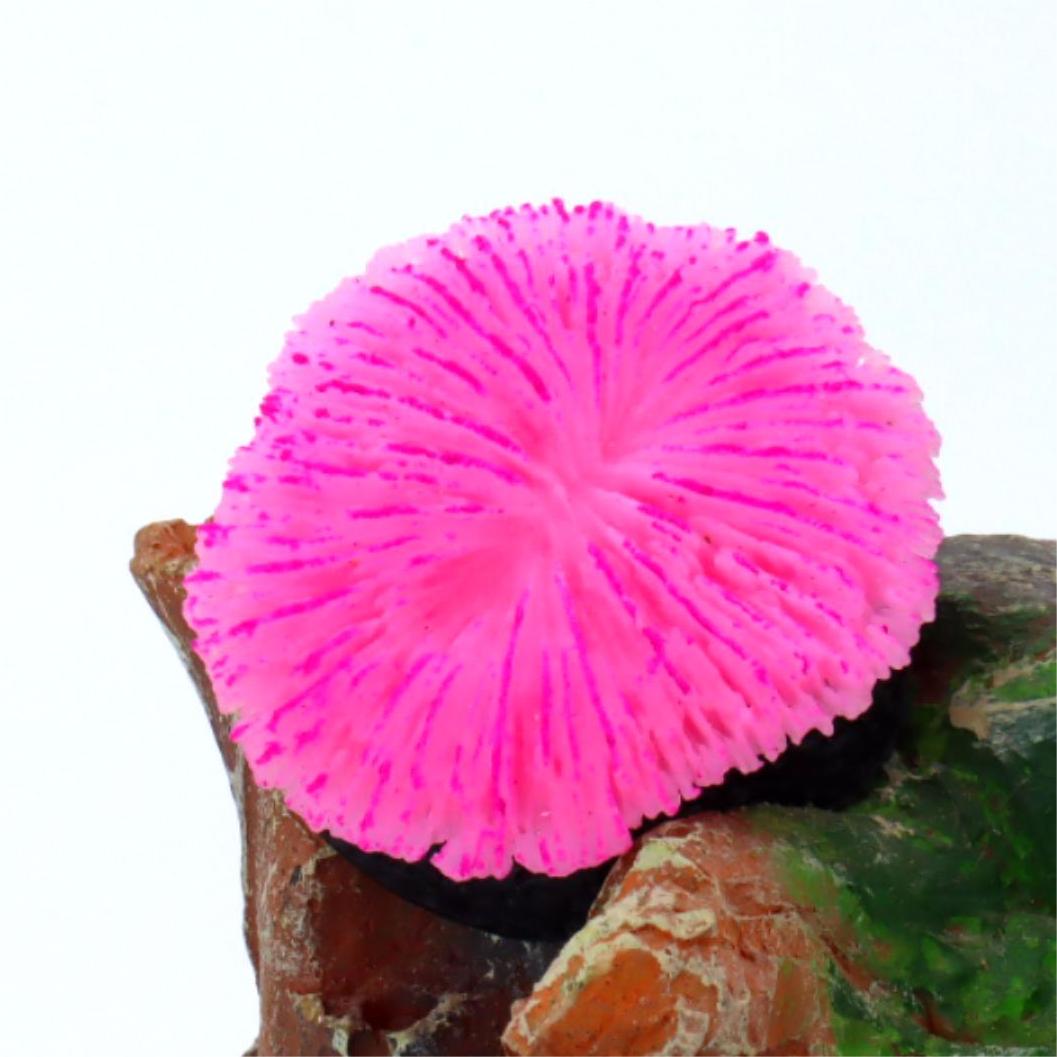 1 Piece Aquarium Decoration Sa - огляд і ціна Live Plant Aquarium