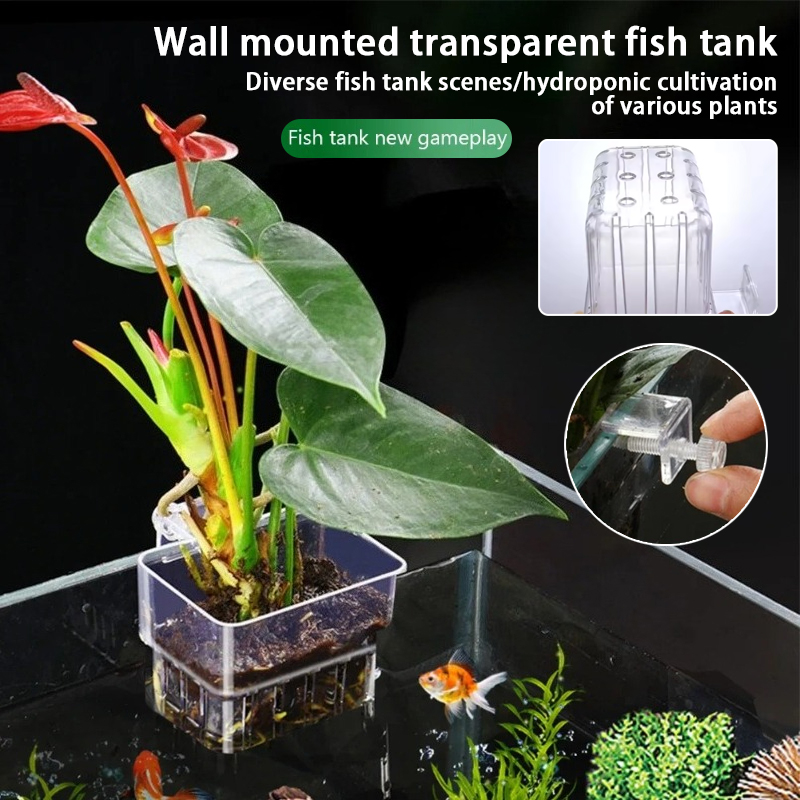 Aquarium Hanging Planter Cups  - огляд і ціна Aquarium Plants Live