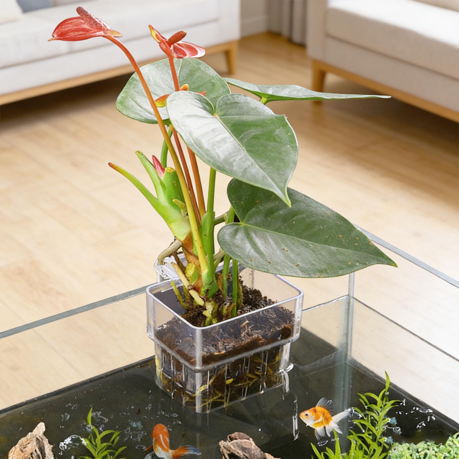 Aquarium Plant Basket Transpar - огляд і ціна Plant Aquarium Pot