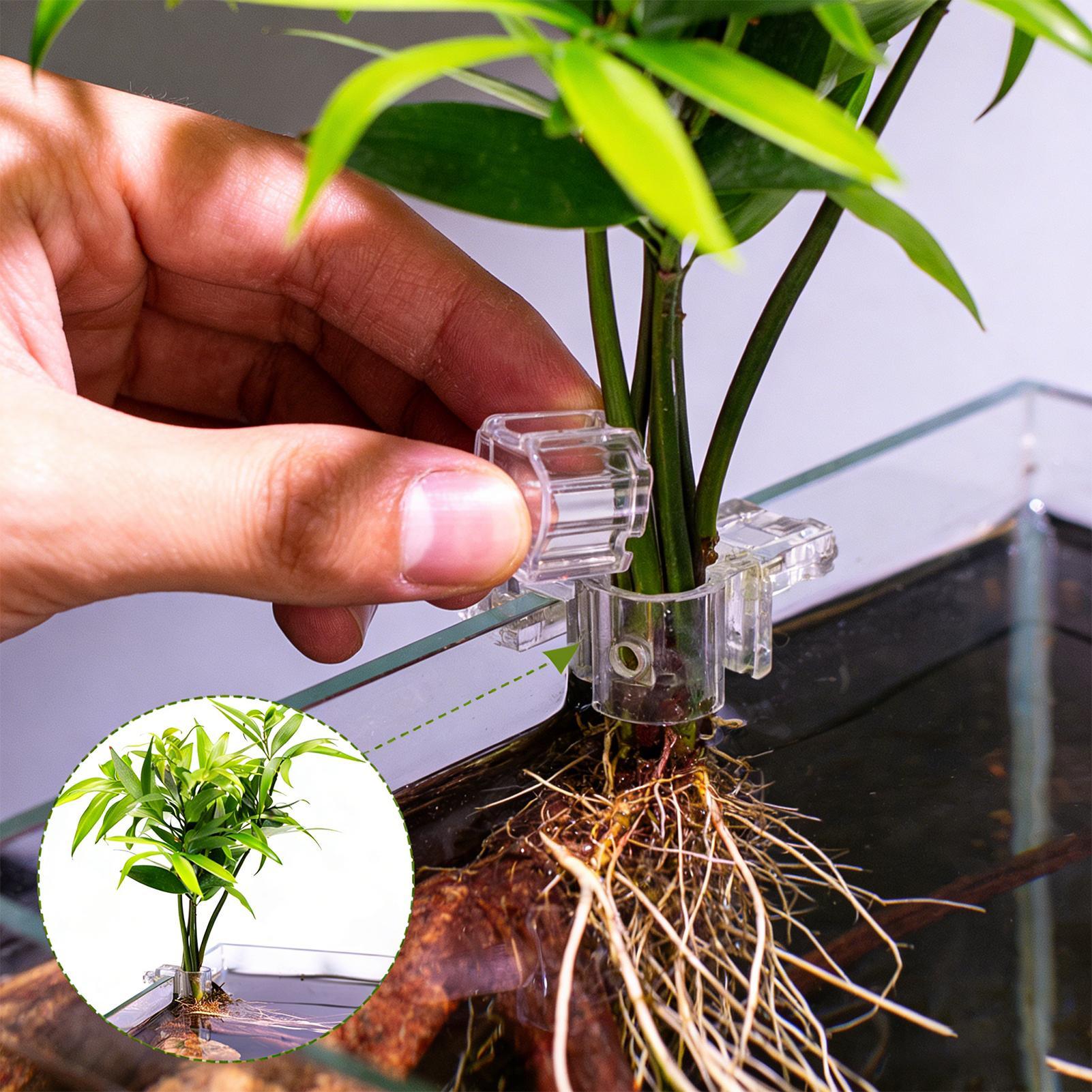 Mini Fish Tank Planter Pot 6Pc - огляд і ціна Aquarium Plants Live