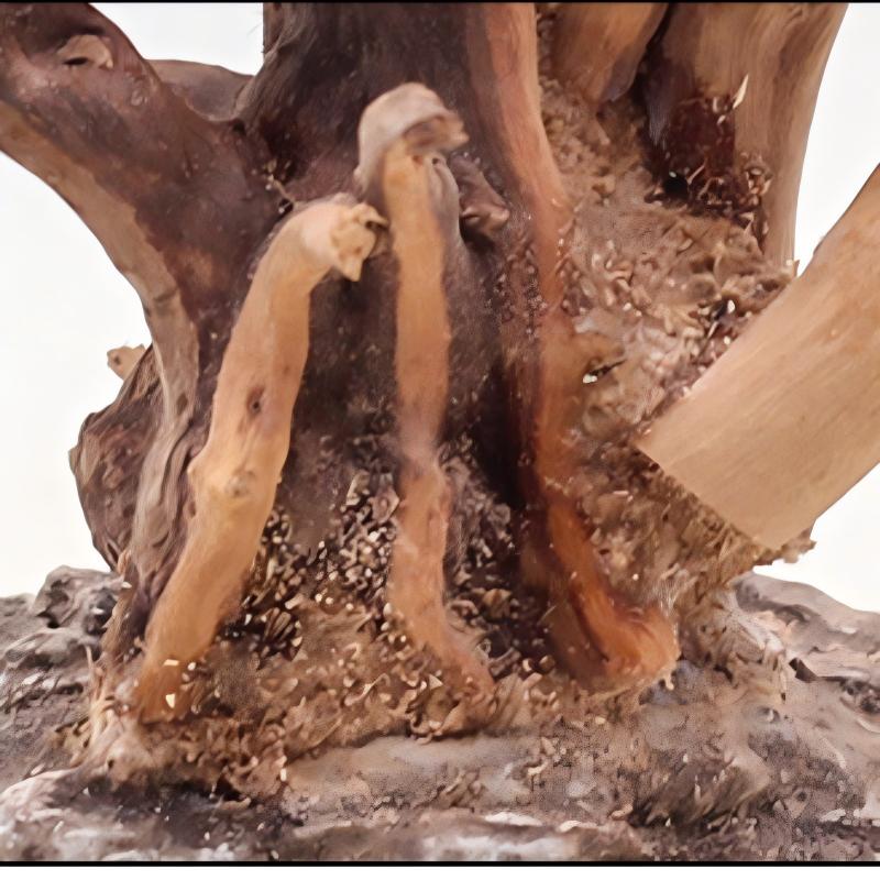 1PC Aquarium Landscaping Wood  - огляд і ціна Aquarium Driftwood