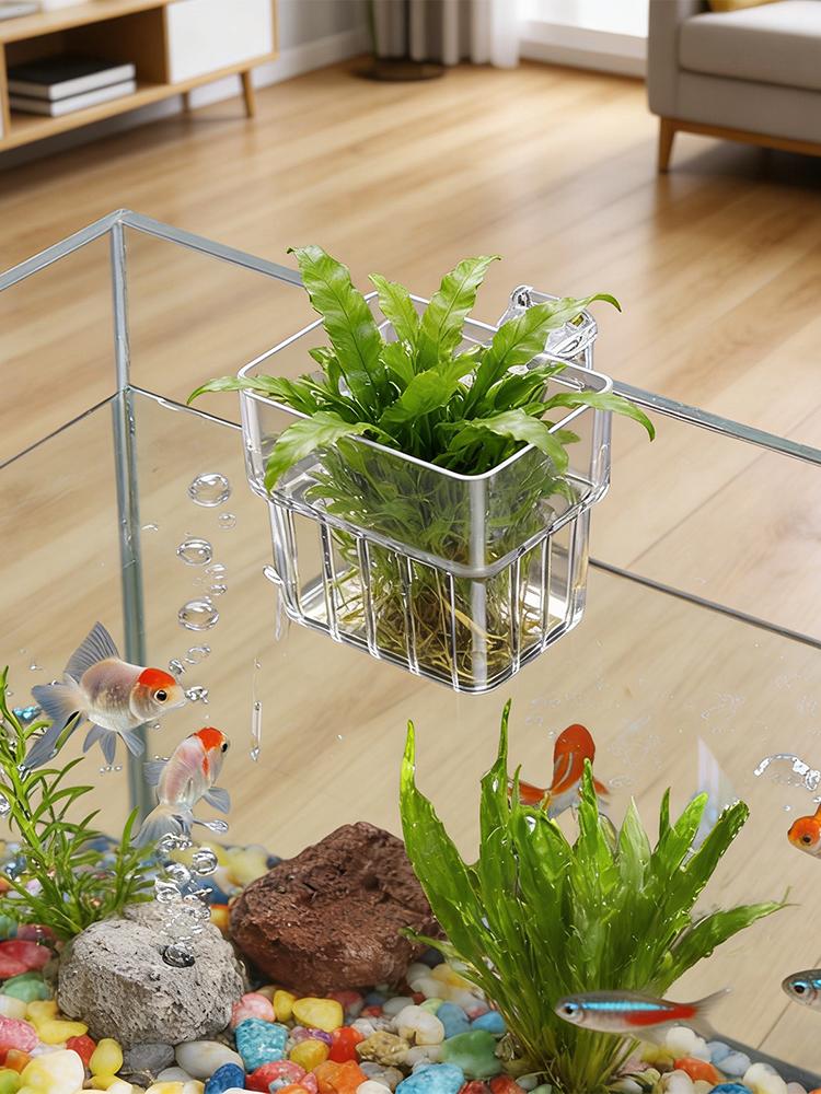 Aquarium Plant Holder Transpar - огляд і ціна Plant Aquarium Pot
