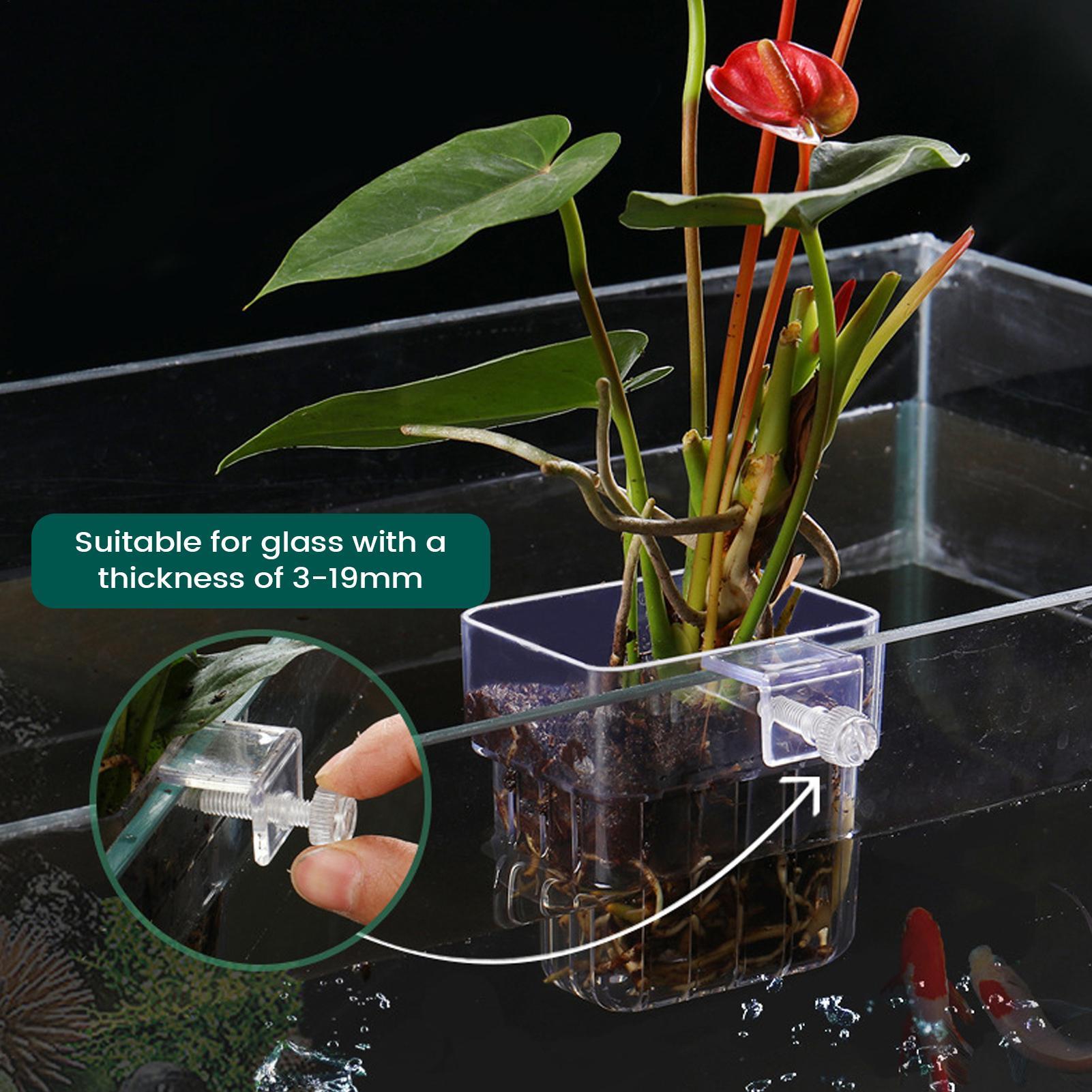 Aquarium Plant Holder Transpar - огляд і ціна Plant Aquarium Pot
