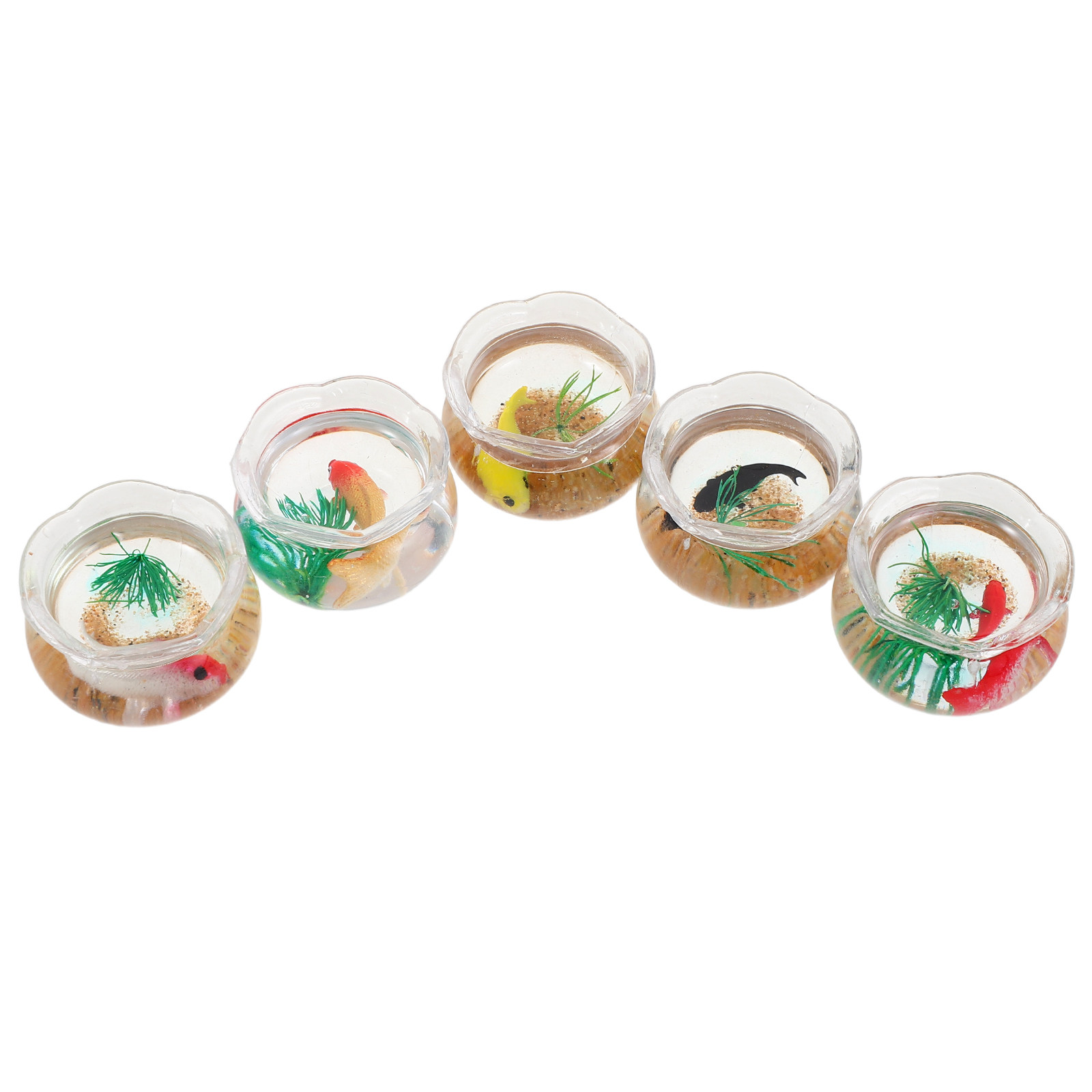 5pcs Miniature Koi Fish Tank:  - огляд і ціна Planted Tank