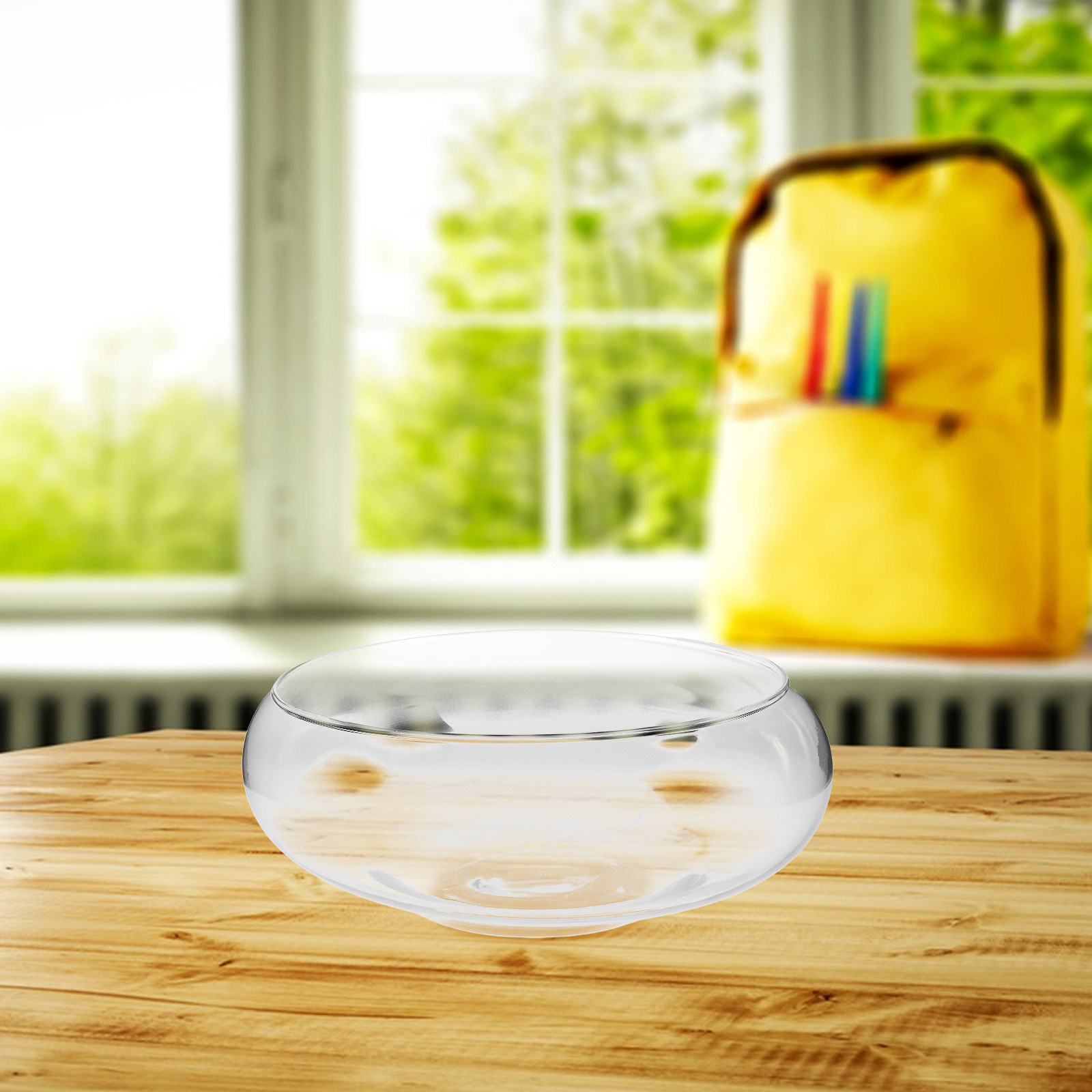 Glass Hydroponic Planter Bowl  - огляд і ціна Planted Tank